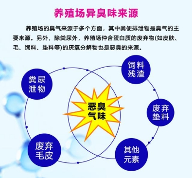 养殖厂臭气来源